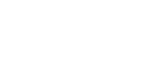 Zoom-Logo-WHITE